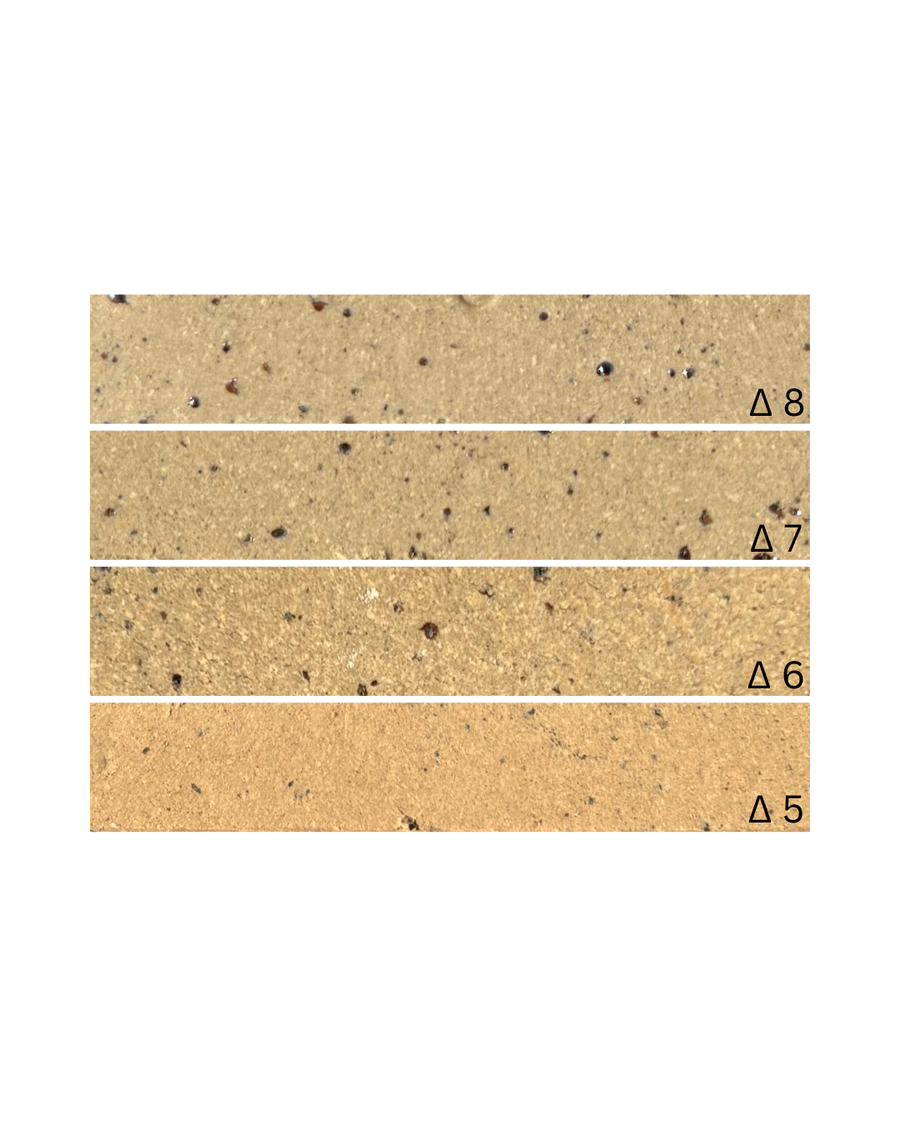 MB2 Speckle